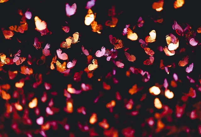 Illuminated decorative ceiling elements at Morph Rooftop Bar, Kempinski Hangzhou
